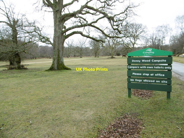 Photo 6"x4" Denny Wood Campsite Clayhill\/SU3007 c2015