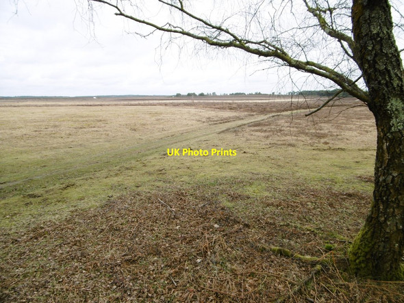 Photo 6"x4" Shatterford Bottom Balmerlawn c2015