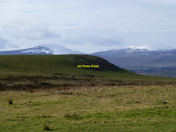 Photo 6"x4" Rough Pasture leading to Hay Hill Greendykes\/NU0628 c2015