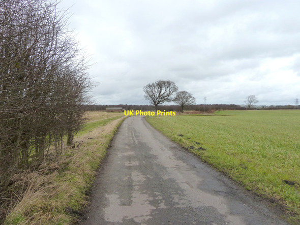 Photo 6"x4" Track to Moss Farm, Windle St Helens\/SJ5095 c2015