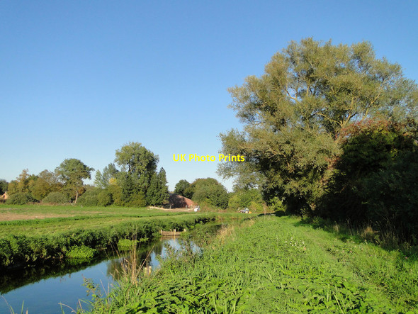 Photo 6"x4" Rich marshland beside the River Nar Pentney c2010