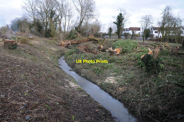 Photo 6"x4" Tree felling at Upton Warren Upton Warren c2015