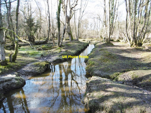 Photo 6"x4" Matley Brook Clayhill\/SU3007 c2015