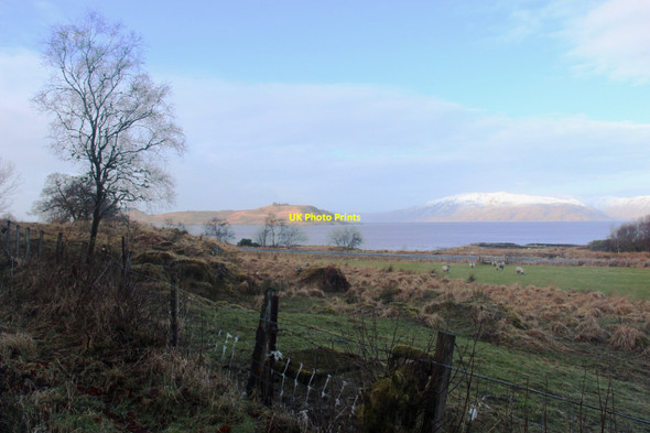 Photo 6"x4" Fields at Polanach Portnacroish c2015