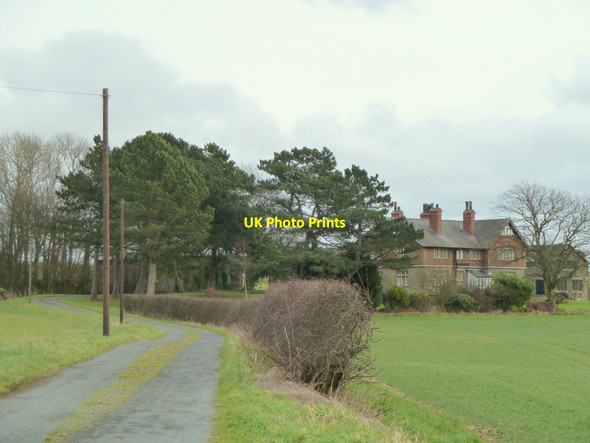 Photo 6"x4" Track to Crank Farm from Crank Road Crank c2015