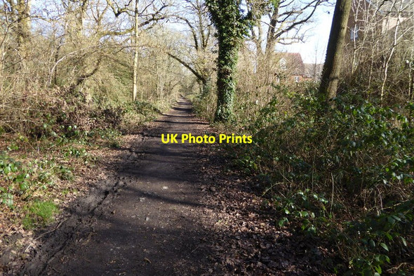 Photo 6"x4" Byway nprth of Poperinghe Way Arborfield Garrison c2015