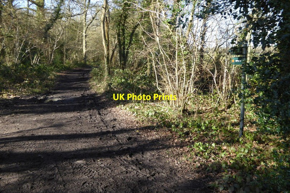 Photo 6"x4" Byway going west at bridleway junction Arborfield Garrison c2015