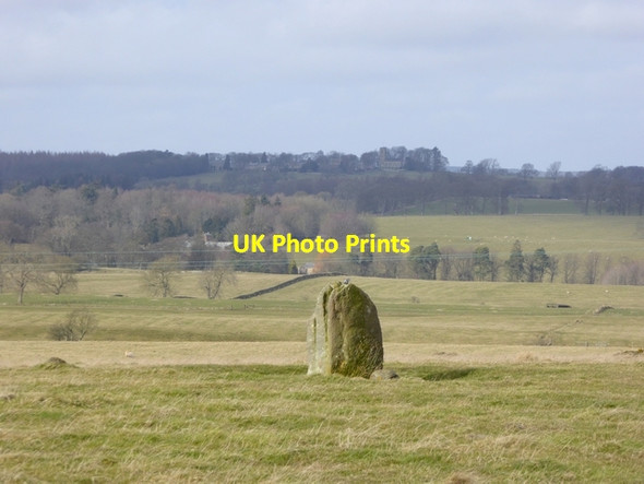 Photo 6"x4" Shaftoe Moor Bolam West Houses c2015