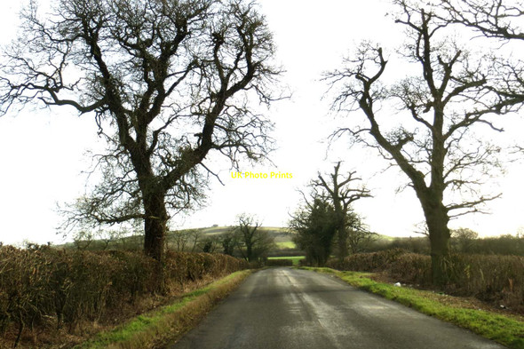 Photo 6"x4" The road to Quainton Botolph Claydon c2015