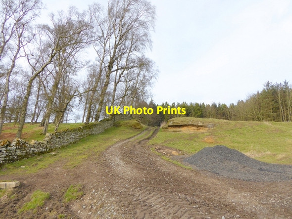 Photo 6"x4" Track near East Shaftoe Hall Bolam West Houses c2015