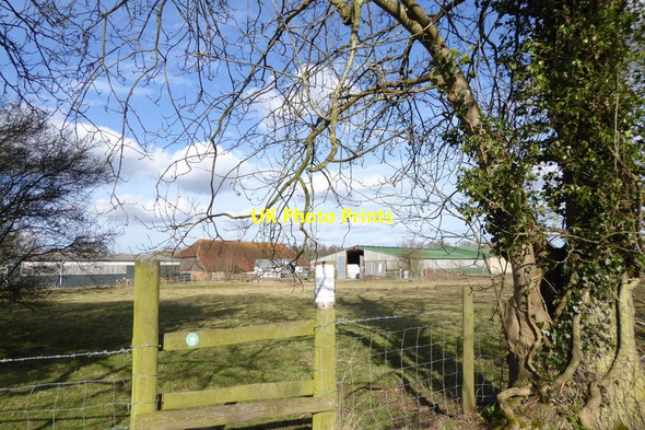 Photo 6"x4" Farm buildings seen from footpath Shinfield c2015