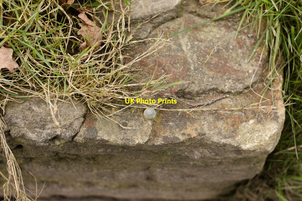 Photo 6"x4" Rivet Bench Mark, Cantax Hill, Lacock Lacock c2015