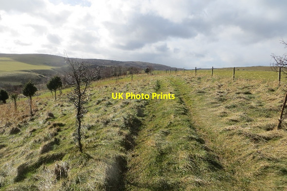 Photo 6"x4" Path, Woodhall Dean Spott\/NT6775 c2015