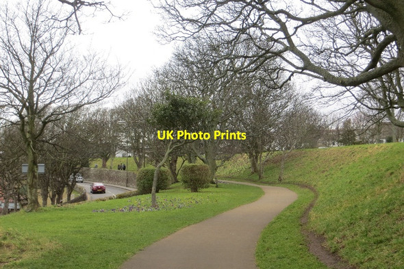 Photo 6"x4" The Lodge Grounds, North Berwick North Berwick c2015