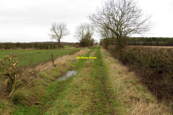 Photo 6"x4" The Oxfordshire Way to Beckley Forest Hill\/SP5807 c2015
