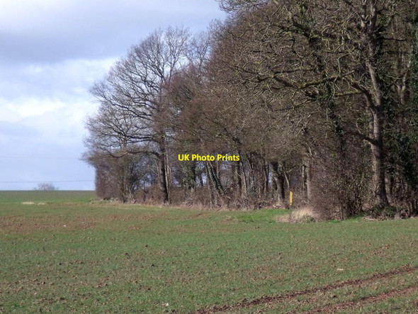 Photo 6"x4" Footpath by New Wood Belton\/SK4420 c2015