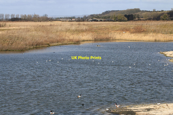 Photo 6"x4" Island Lake from Turret Hide, North Cave Wetlands Hotham c2015