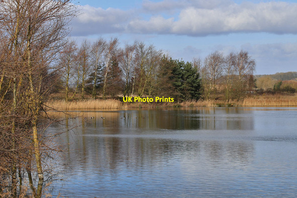 Photo 6"x4" Main Lake, North Cave Wetlands Nature Reserve North Cave c2015