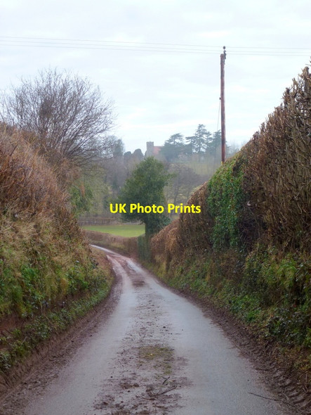 Photo 6"x4" Narrow lane with high sides Oxenhall c2015