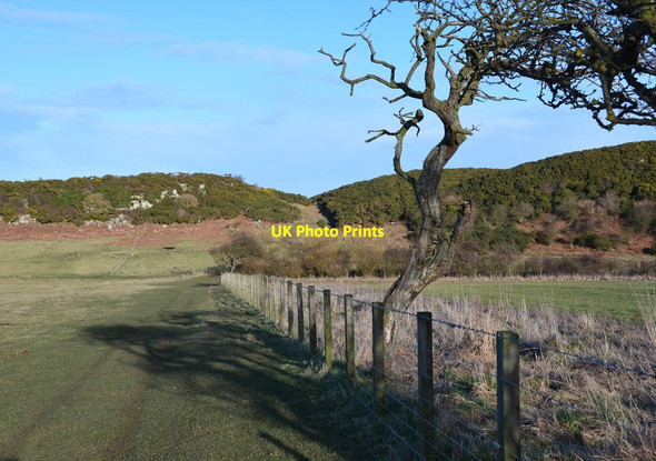 Photo 6"x4" Path to The Heughs near Craster Craster c2015