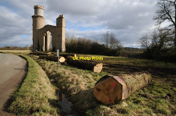 Photo 6"x4" Tree trunks in front of Dunstall castle Dunstall Common c2015