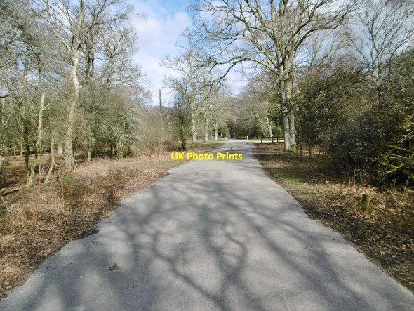 Photo 6"x4" Hollands Wood, cycle route Balmerlawn c2015