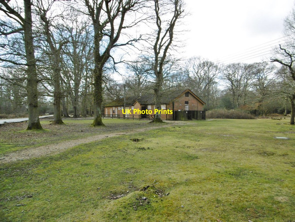 Photo 6"x4" Hollands Wood, toilet block Balmerlawn c2015
