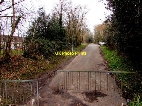 Photo 6"x4" West along Radyr Court Road, Danescourt, Cardiff Whitchurch\/ST1479 c2015