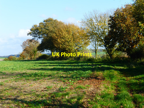 Photo 6"x4" Farmland, Burbage Burbage\/SU2361 c2014