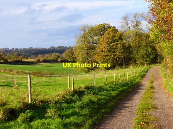Photo 6"x4" Track and farmland, Burbage Stibb Green c2014