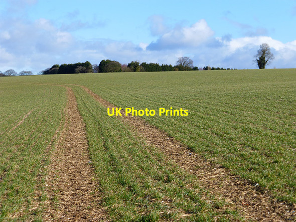 Photo 6"x4" Farmland, Great Shefford Great Shefford c2015