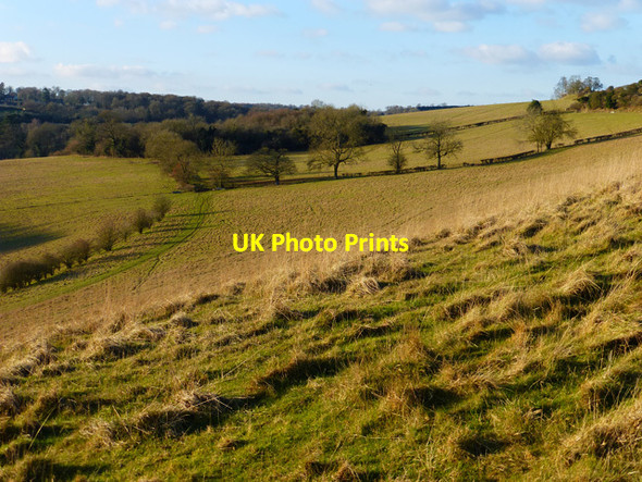 Photo 6"x4" Pasture, Great Marlow Marlow\/SU8586 c2015