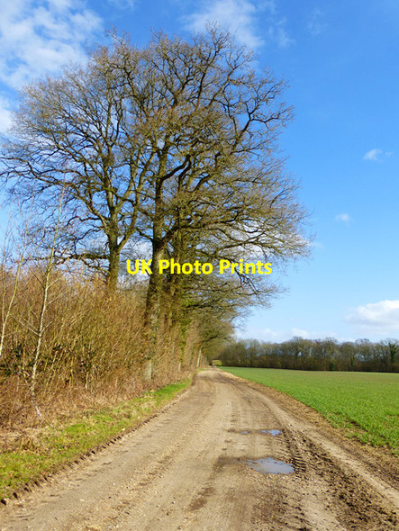 Photo 6"x4" Track and farmland, Ecchinswell Brock's Green c2015