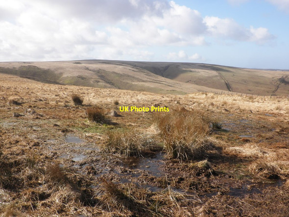 Photo 6"x4" View towards Hoaroak Hill, from Exe Plain Simonsbath c2015