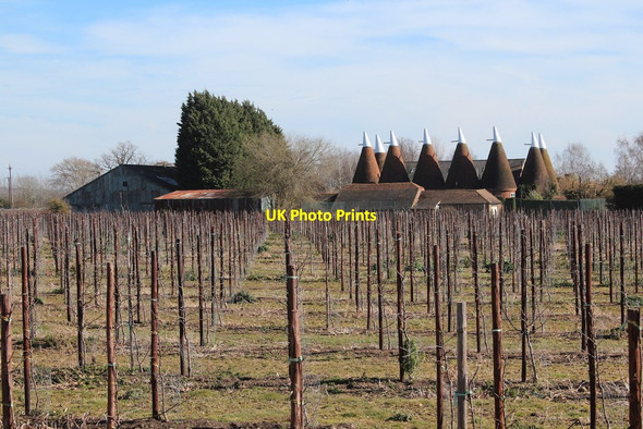Photo 6"x4" Crowhurst Oast, Bells Farm Road, East Peckham Goose Green\/TQ6450 c2015 P1