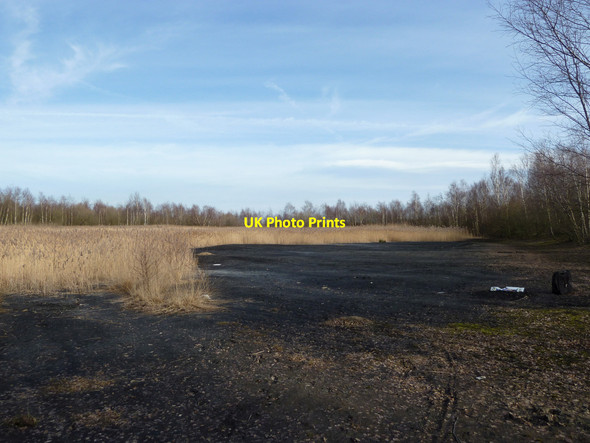 Photo 6"x4" Coal shale\/slag and reed bed at Colliers Moss Common Derbyshire Hill c2015