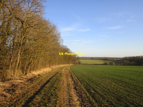 Photo 6"x4" Benniworth Road Plantation Benniworth c2015