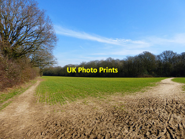 Photo 6"x4" Farmland, Winnersh Wokingham c2015