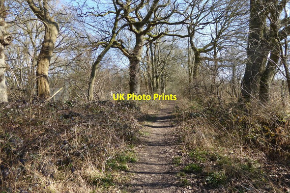 Photo 6"x4" Path at edge of woodland Church End\/SU6756 c2015