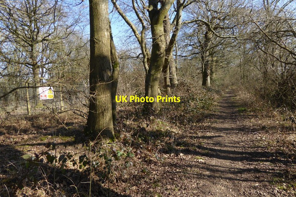 Photo 6"x4" Path by MoD boundary Church End\/SU6756 c2015