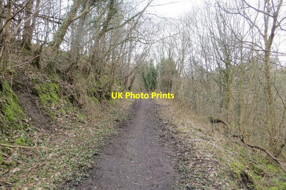 Photo 6"x4" Path, Comrie Dean Blairhall\/NT0089 c2015