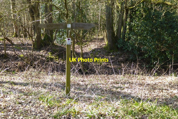 Photo 6"x4" Signpost at junction of footpath and restricted byway Chineham c2015