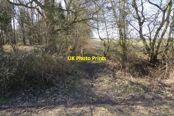 Photo 6"x4" Path crossing byway going west Cufaude c2015