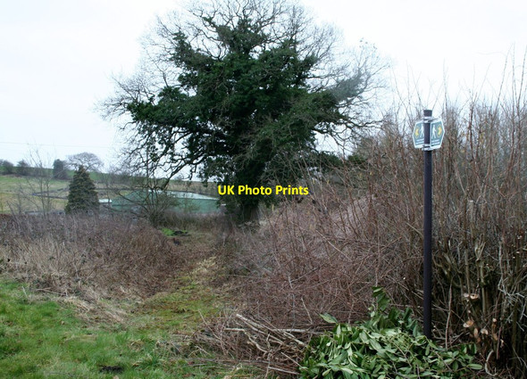 Photo 6"x4" Well Defined Sandy Lane\/SJ4040 c2015