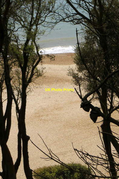 Photo 6"x4" The beach at Steamer Point Friars Cliff c2014