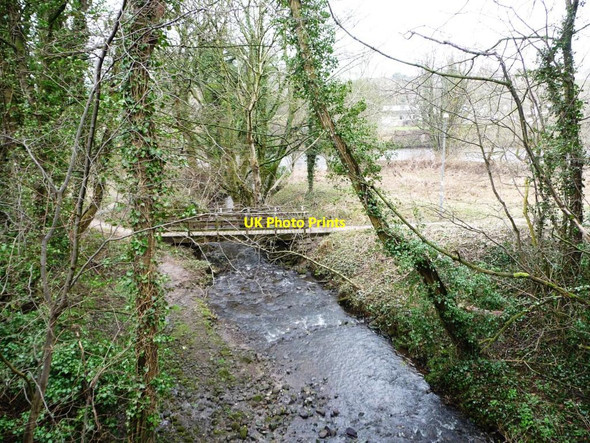 Photo 6"x4" Denny Beck Halton\/SD5064 c2015