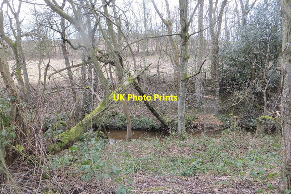 Photo 6"x4" Bluther Burn Blairhall\/NT0089 c2015
