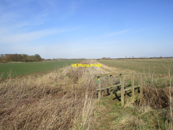Photo 6"x4" Footbridge on the path to the River Slea Ewerby c2015