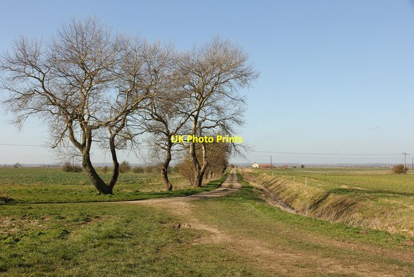 Photo 6"x4" Morton Drove and Fen Guthram Gowt c2015