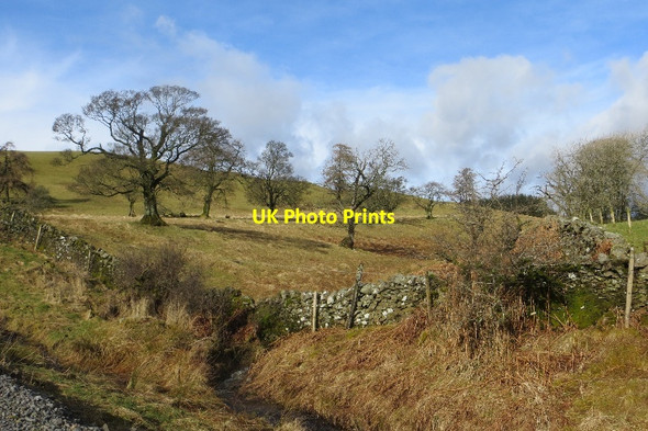 Photo 6"x4" Plewlands Hill Mid Murthat c2015